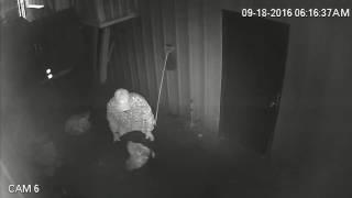 Another POS tweaker breaking in and stealing my garbage cans.