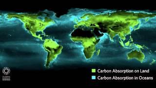 Timelapse: Photosynthesis Seen from Space (Educator Version) | California Academy of Sciences