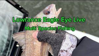  Lowrance Eagle Eye Live Multi Species Fishing (Lake Shawnee, KS)