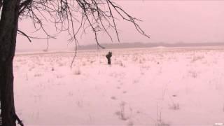 Predator Nation - Alberta Coyote Hunt