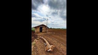 Beautiful Hut in Village