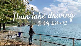 [ 스위스 튠 호수 Thun lake ] 보고 나면 힐링되는 튠 호수 드라이브 코스