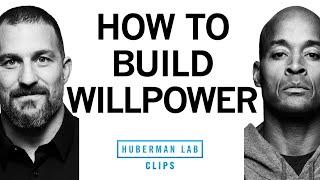 How to Build Willpower | David Goggins & Dr. Andrew Huberman