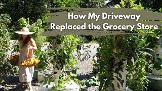 Sustainable Homesteading: Replacing the Grocery Store with Vertical Hydroponic Gardens.