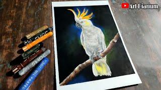 Realistic Cockatoo Parrot drawing with Oil Pastel- Step by Step