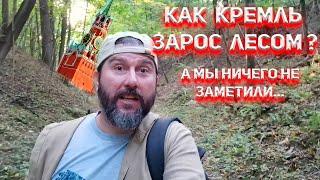 Как Кремль зарос лесом, а мы ничего не заметили?