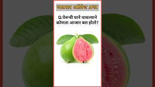 पेरूची पाने चावल्याने कोणता आजार बरा होतो? Gk questions || Gk in marathi ||Gk ||