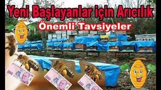 Arıcılık Yapmaya Başlayacaklar İçin Önemli Tavsiyeler