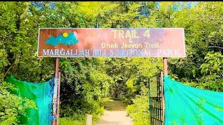 A day with friends in Islamabad ️l Trail 4 l Dhok jeevan trail l  subscribe for more videos ️