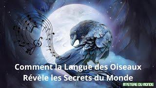 Alchimie : Les Mystères de la Langue des Oiseaux