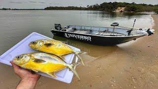 Pesca no MAR - BARCO NOVO | Pescamos MUITOS ROBALOS e preparamos os peixes na hora #catchandcook