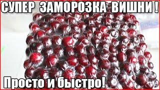 КАК ЗАМОРОЗИТЬ ВИШНЮ НА ЗИМУ. Супер способ. Быстро и просто! Ягодка к ягодке.