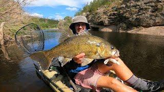 Kayak Fishing for GIANT Australian Bass!!