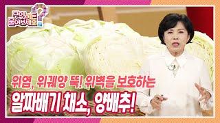 [무엇이든 물어보세요] 위염, 위궤양 뚝! 위벽을 보호하는 알짜배기 백색 채소, 양배추 | KBS 221020 방송