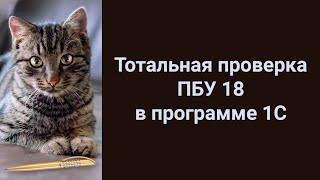 Тотальная проверка ПБУ 18/02 в программе 1С (ПОЛНАЯ ВЕРСИЯ, 4 части)