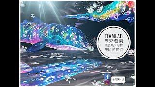 【台南陳太太Vlog】高雄展覽活動｜率先現場直擊｜teamLab 未來遊樂園 & 與花共生動物們｜打卡熱點搶先看｜超治療的互動藝術：國立科學工藝博物館