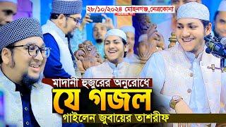 মাদানী হুজুরের অনুরোধে যে গজল গাইলেন।জুবায়ের আহমদ তাশরীফ।Qari Jubayer Ahmad Tasrif New Gojol 2024