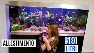 ALLESTIMENTO COMPLETO Highline600 OASE  Acquario da 580 litri!