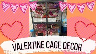 Valentine Rat Cage Tour (Double Critter Nation Set Up)