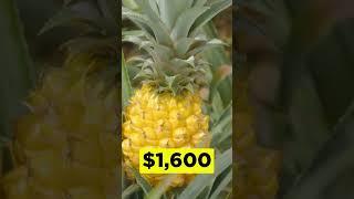 The Most Expensive Fruits in the World  #food #fruit #luxury