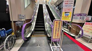 【エスカレーター】エスポット淵野辺店 上り【FUJITEC】Escalator,ESPOT Fuchinobe