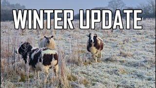 HEAVY Freezing For the Winter Farm - Update on Farm Changes