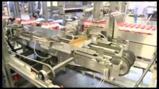 ARPAC's EL-2100 Case Packer and 25TW Tray Wrapper Integrated System