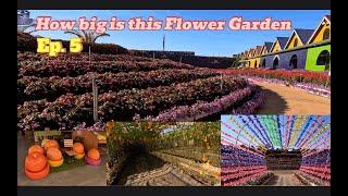 One of the Biggest Flower Gardens | Dalat Vietnam