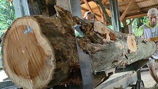 sawing Village teak wood is turned into furniture and beams