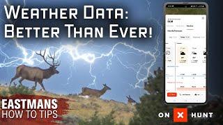 Using  @onXHunt  's Weather Info During A Hunt | Eastmans' How To Tip