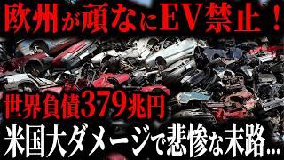 【EVブーム終焉】遂に欧州でEV使用禁止でオーナー大激怒！EV推進の裏に隠された不都合な真実とは？【ゆっくり解説】