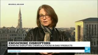 Endocrine Disruptors: "European Commission is delaying, harming human health and the environment"