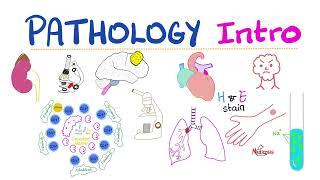 Pathology Intro - Biopsy, Autopsy, Specimen, Cell injury, Apoptosis, Necrosis, Inflammation, Hypoxia