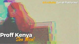 Proff Kenya - She Nice (Visualizer)