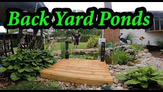 Pond Complete And Update On Life   HD 1080p