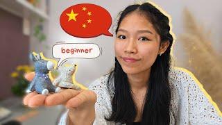 all the beginner resources you need to start learning Mandarin 