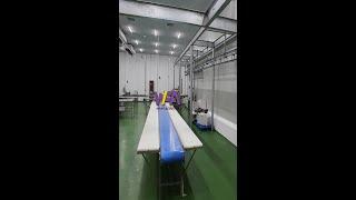 WFA carcass belt conveyor for USA beef processing plant abattoir equipment