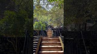 Climbing Sigiriya rock  #srilanka #sigiriya #travel #reels #shortsvideo #shorts #beautiful #asia