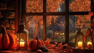 Rainy Autumn Night | Relax with Rain Outside, Rain On Window and Breeze Sounds