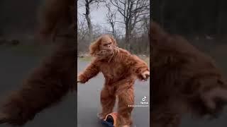 The Best of the Shenandoah Squatch #bigfoot #onewheel #billystrings #bmfs