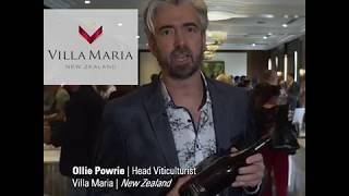 Villa Maria- Single Vineyard Seddon Pinot Noir 2013