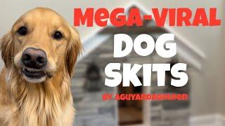 BEST AGuyandAGolden MEGA-VIRAL Dog Skits.