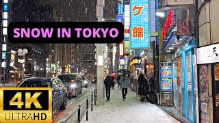 TOKYO, JAPAN  [4K] ROPPONGI — Heavy Snow Storm in TOKYO — Night Walk