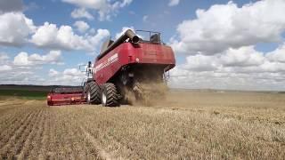 Grain harvesting combine PALESSE GS16 – owner of the fields