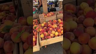 Union Square Farmers Market NYC