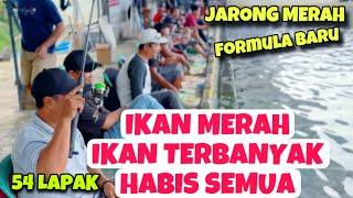 Umpan Mancing Terganas Spesial Lomba Ikan Mas