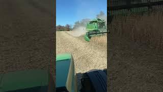 Harvest Time! #shorts #farming #harvest