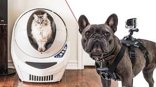 10 Useful Tech Gadgets For Dogs & Cats!