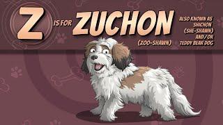 The Zuchon