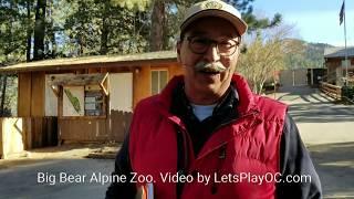 Big Bear Alpine Zoo with Curator #LiveItUpBigBear AD